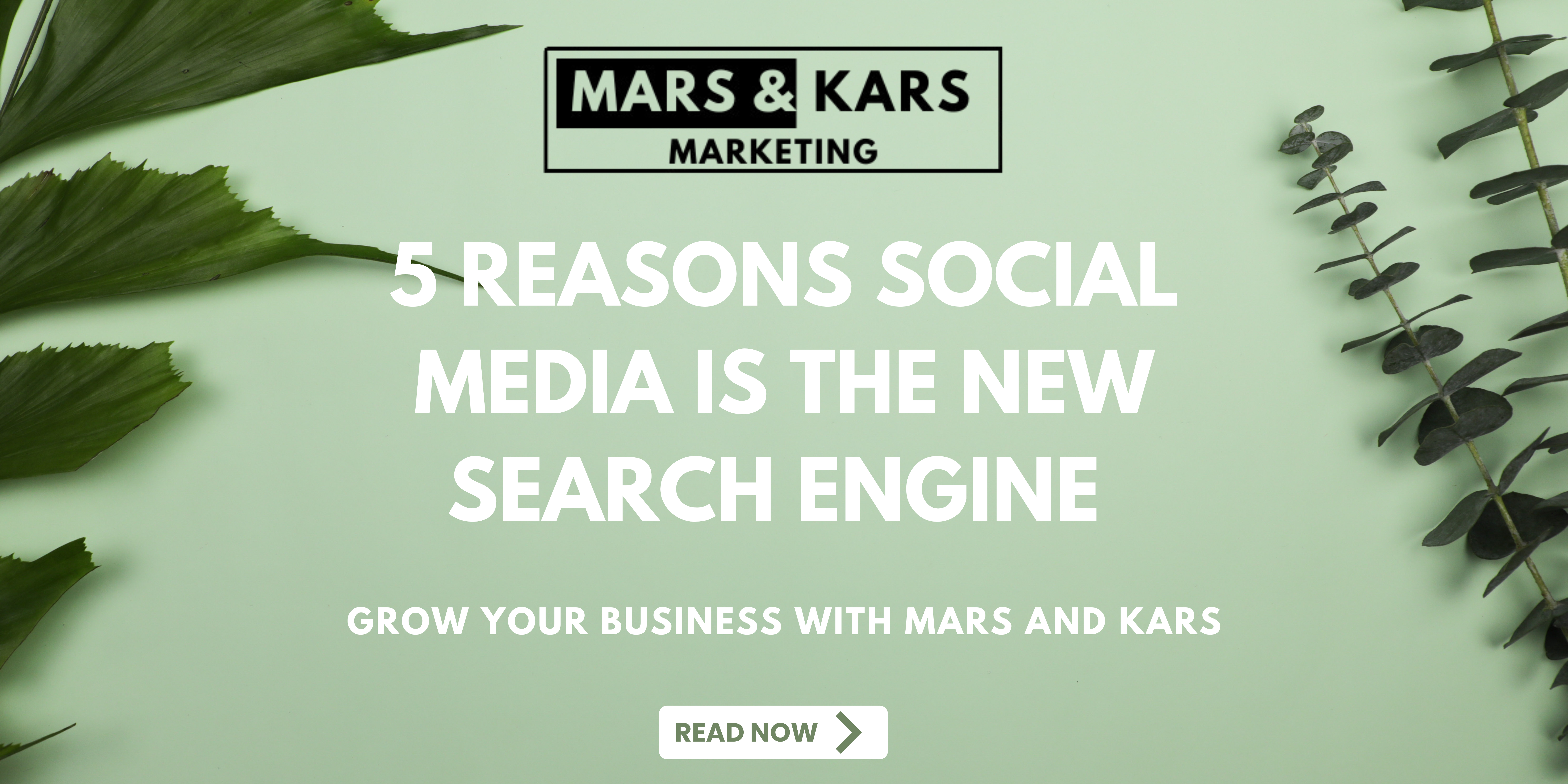 5 Reasons Social Media is the New Search Engine (And Why Your Business Needs to Get Onboard!)